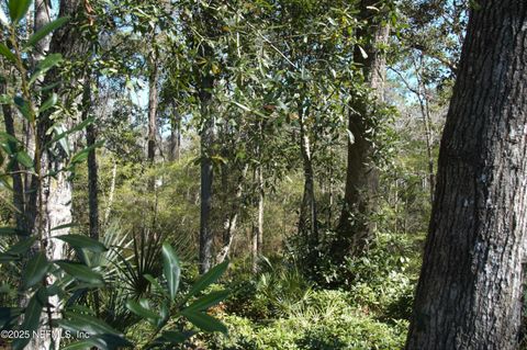 Unimproved Land in Jacksonville FL 1891 HOLLY OAKS RAVINE Drive 8.jpg