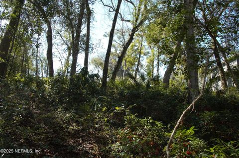 Unimproved Land in Jacksonville FL 1891 HOLLY OAKS RAVINE Drive 6.jpg