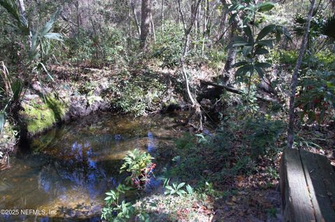 Unimproved Land in Jacksonville FL 1891 HOLLY OAKS RAVINE Drive 5.jpg