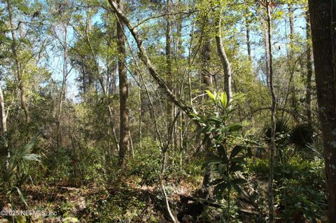 Unimproved Land in Jacksonville FL 1891 HOLLY OAKS RAVINE Drive 7.jpg