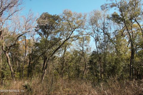 Unimproved Land in Jacksonville FL 1891 HOLLY OAKS RAVINE Drive 2.jpg