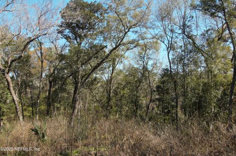 Unimproved Land in Jacksonville FL 1891 HOLLY OAKS RAVINE Drive 1.jpg