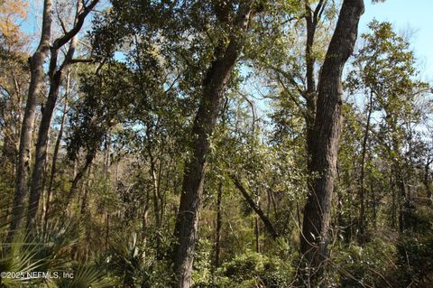 Unimproved Land in Jacksonville FL 1891 HOLLY OAKS RAVINE Drive 3.jpg
