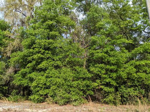 Unimproved Land in Keystone Heights FL 5640 CARIBBEAN Circle.jpg