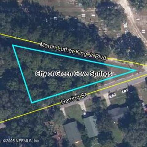 Unimproved Land in Green Cove Springs FL 0 HARRING Street.jpg