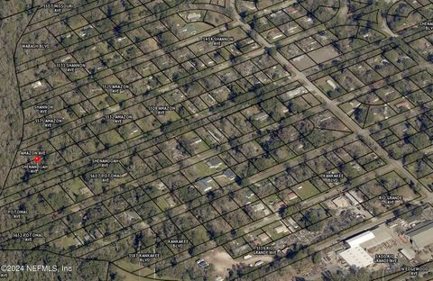 Unimproved Land in Jacksonville FL 0 SHENANDOAH Avenue.jpg