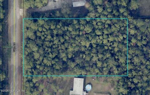 Unimproved Land in Hastings FL 10230 DILLON Avenue.jpg