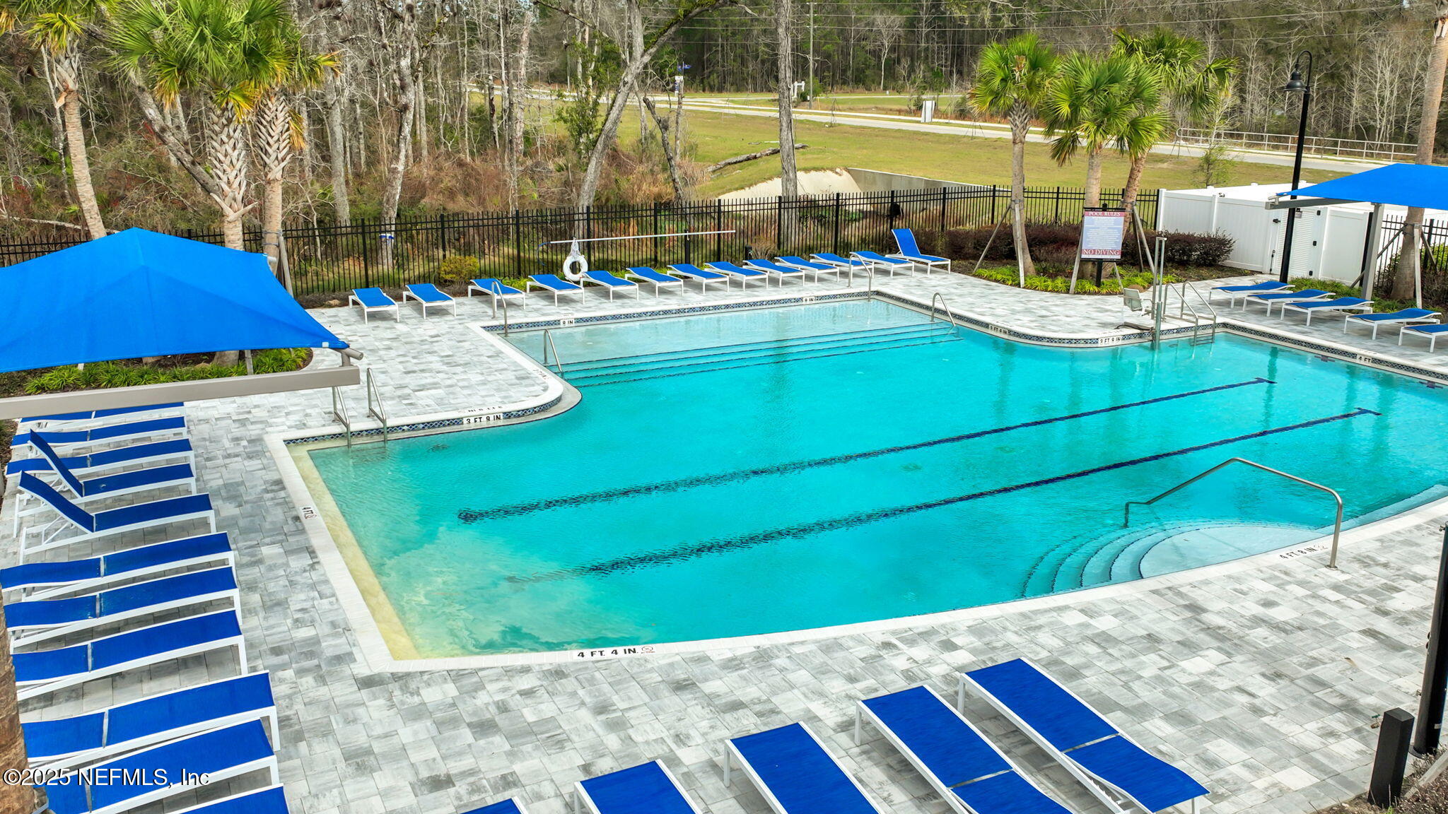 3445 Golden Eye Dr, Orange Park, FL 32073 photo