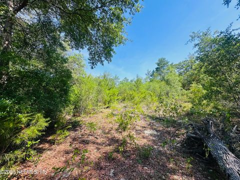 Unimproved Land in Keystone Heights FL 6007 FURMAN Avenue 3.jpg