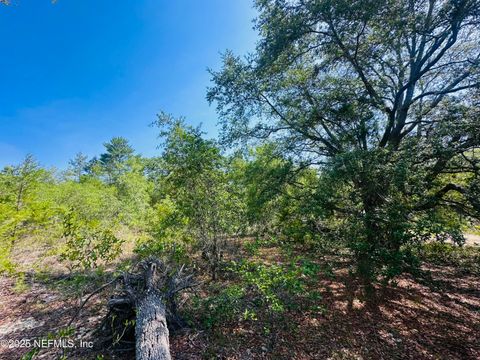Unimproved Land in Keystone Heights FL 6007 FURMAN Avenue.jpg