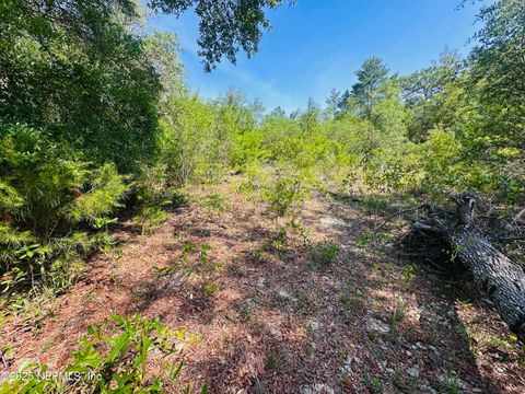 Unimproved Land in Keystone Heights FL 6007 FURMAN Avenue 7.jpg
