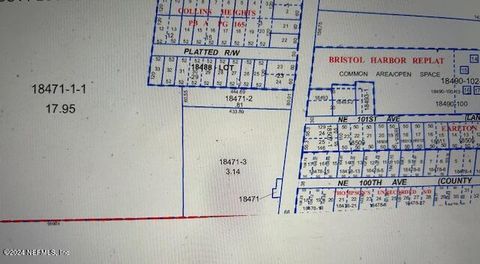 Unimproved Land in Earleton FL 000 NE COUNTY RD 1469.jpg