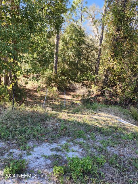 Unimproved Land in Crescent City FL 2757+2759 S HIGHWAY 17.jpg
