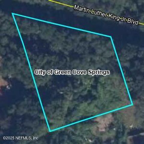 Unimproved Land in Green Cove Springs FL 0 MARTIN LUTHER KING JR Boulevard.jpg