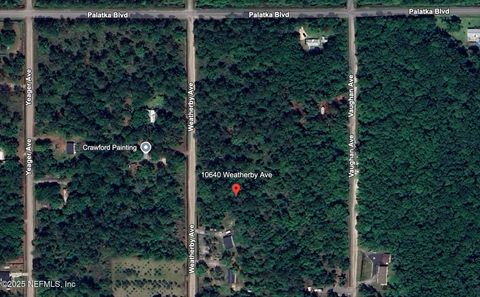 Unimproved Land in Hastings FL 10640 WEATHERBY Avenue.jpg