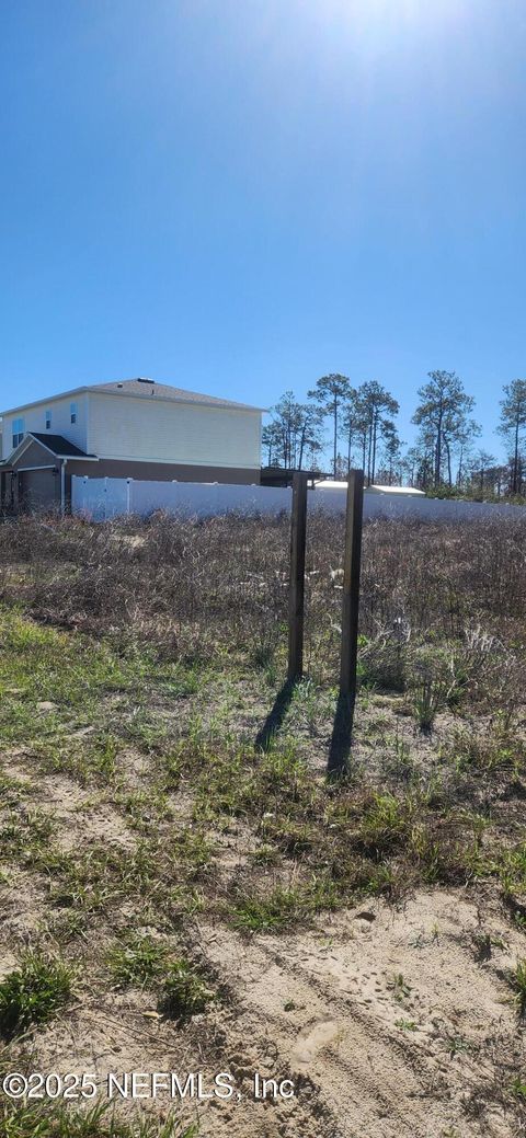Unimproved Land in Welaka FL 427 RIVER HILL Drive.jpg