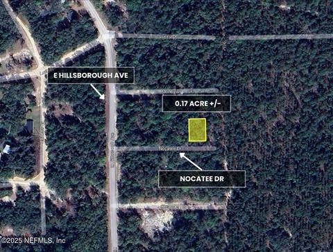 Unimproved Land in Florahome FL 108 NOCATEE Drive.jpg