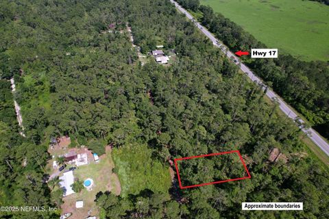 Unimproved Land in Crescent City FL 215 WARD Avenue.jpg