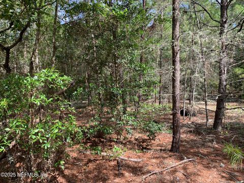 Unimproved Land in Florahome FL 1230 CORAL FARMS Road 19.jpg