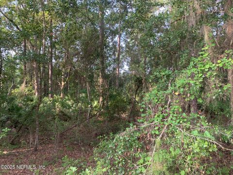 Unimproved Land in Florahome FL 1230 CORAL FARMS Road 6.jpg
