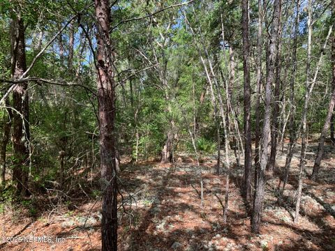 Unimproved Land in Florahome FL 1230 CORAL FARMS Road 24.jpg