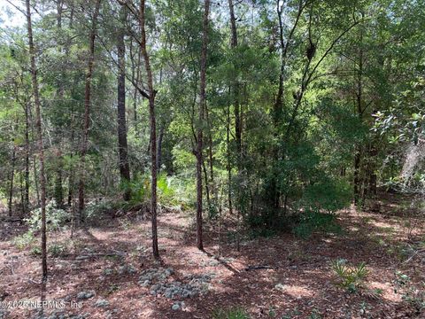 Unimproved Land in Florahome FL 1230 CORAL FARMS Road 8.jpg