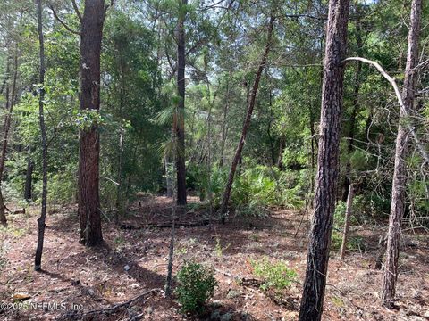 Unimproved Land in Florahome FL 1230 CORAL FARMS Road 10.jpg