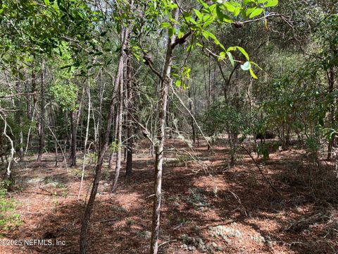 Unimproved Land in Florahome FL 1230 CORAL FARMS Road 18.jpg