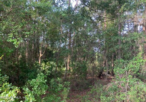 Unimproved Land in Florahome FL 1230 CORAL FARMS Road 1.jpg