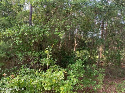 Unimproved Land in Florahome FL 1230 CORAL FARMS Road 2.jpg