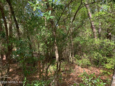 Unimproved Land in Florahome FL 1230 CORAL FARMS Road 16.jpg