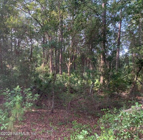 Unimproved Land in Florahome FL 1230 CORAL FARMS Road 5.jpg