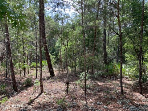 Unimproved Land in Florahome FL 1230 CORAL FARMS Road 9.jpg