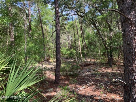 Unimproved Land in Florahome FL 1230 CORAL FARMS Road 13.jpg