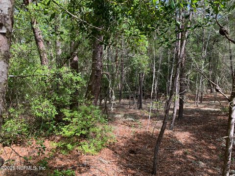 Unimproved Land in Florahome FL 1230 CORAL FARMS Road 17.jpg