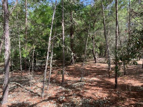 Unimproved Land in Florahome FL 1230 CORAL FARMS Road 22.jpg