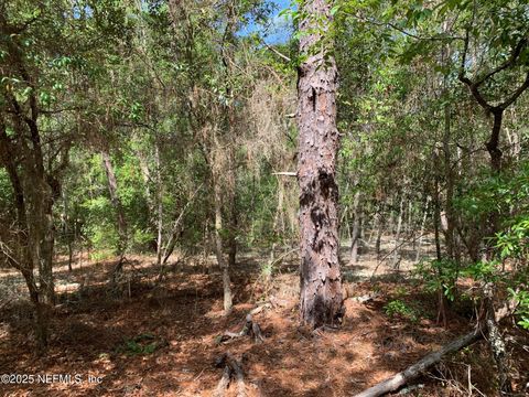 Unimproved Land in Florahome FL 1230 CORAL FARMS Road 21.jpg