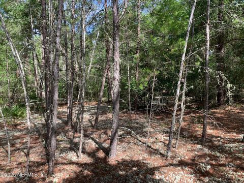 Unimproved Land in Florahome FL 1230 CORAL FARMS Road 23.jpg
