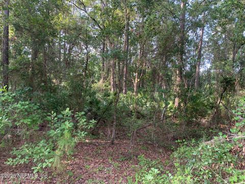 Unimproved Land in Florahome FL 1230 CORAL FARMS Road 4.jpg