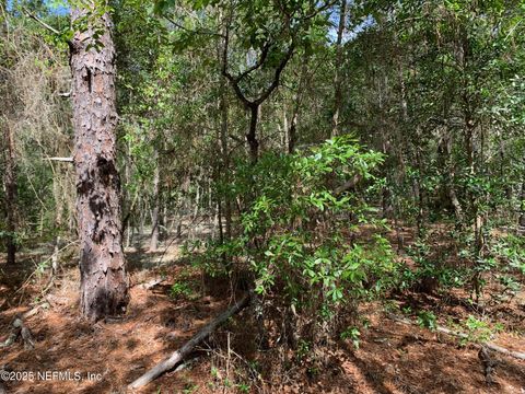 Unimproved Land in Florahome FL 1230 CORAL FARMS Road 20.jpg