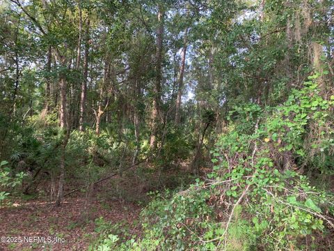 Unimproved Land in Florahome FL 1230 CORAL FARMS Road 3.jpg