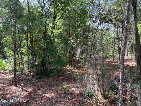 Unimproved Land in Florahome FL 1230 CORAL FARMS Road 7.jpg