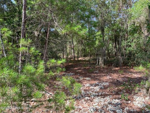 Unimproved Land in Florahome FL 1230 CORAL FARMS Road 11.jpg