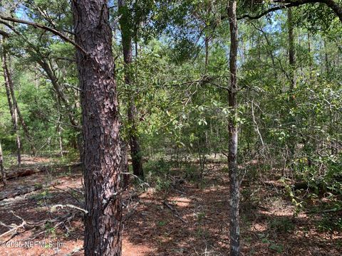 Unimproved Land in Florahome FL 1230 CORAL FARMS Road 14.jpg