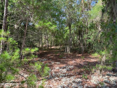 Unimproved Land in Florahome FL 1230 CORAL FARMS Road 12.jpg