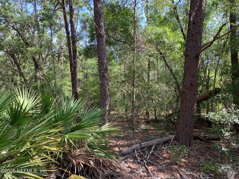 Unimproved Land in Florahome FL 1230 CORAL FARMS Road 15.jpg