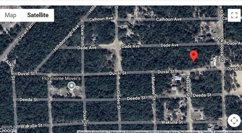 Unimproved Land in Florahome FL 218 DUVAL Street.jpg