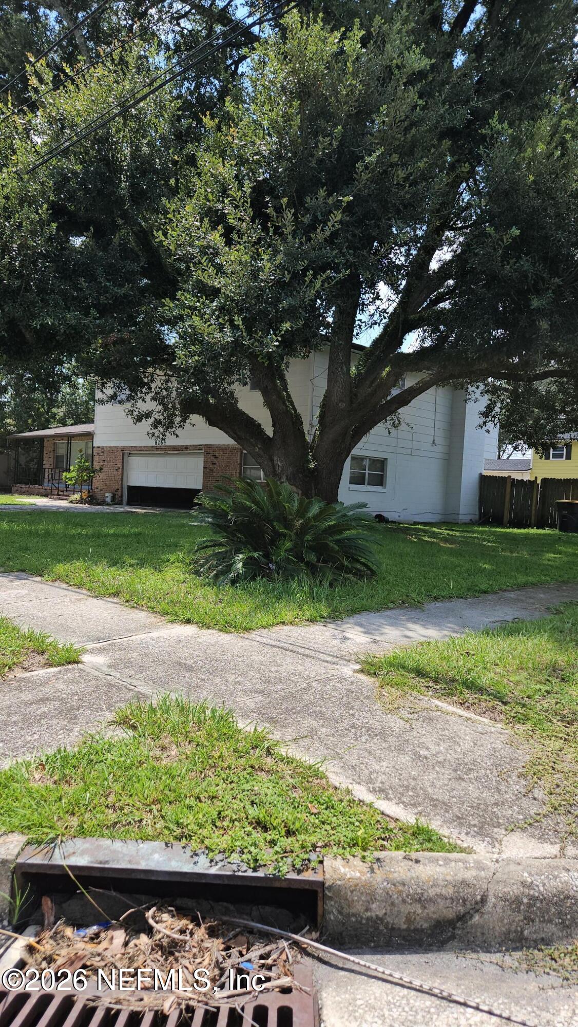 8264 Caravelle Dr, Jacksonville, FL 32244 photo