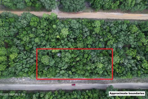 Unimproved Land in Florahome FL 0000 GLORIA.jpg