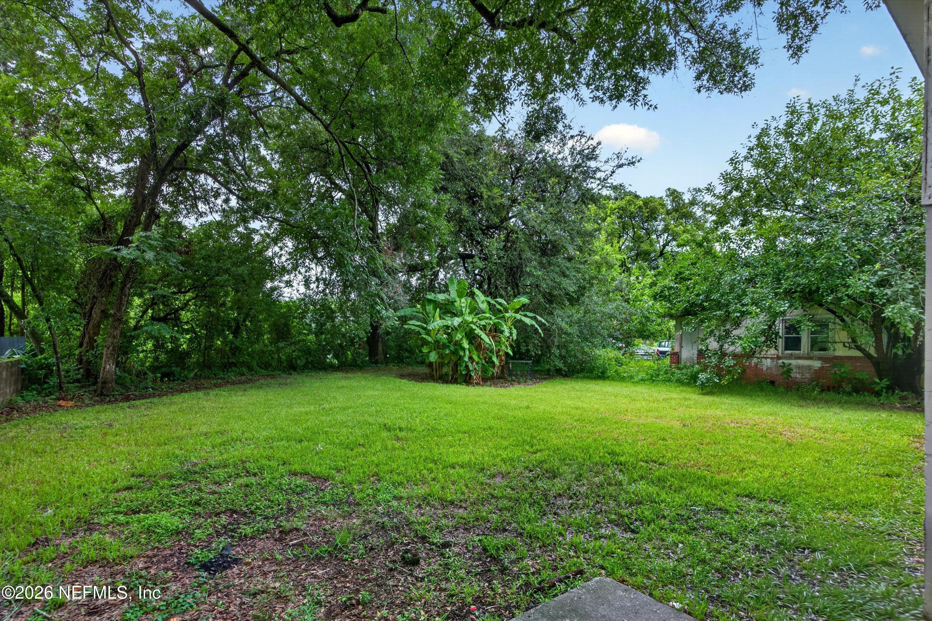 1811 Whitner St, Jacksonville, FL 32209 photo